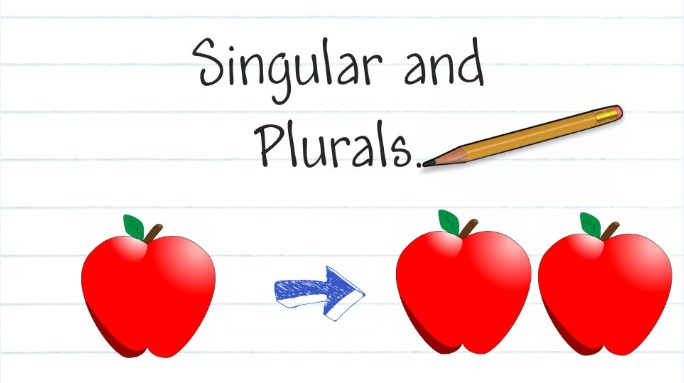 Plural Executive Vs Single Executive