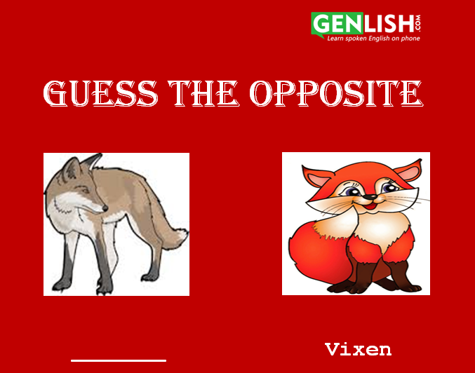 Guess the Opposite -
