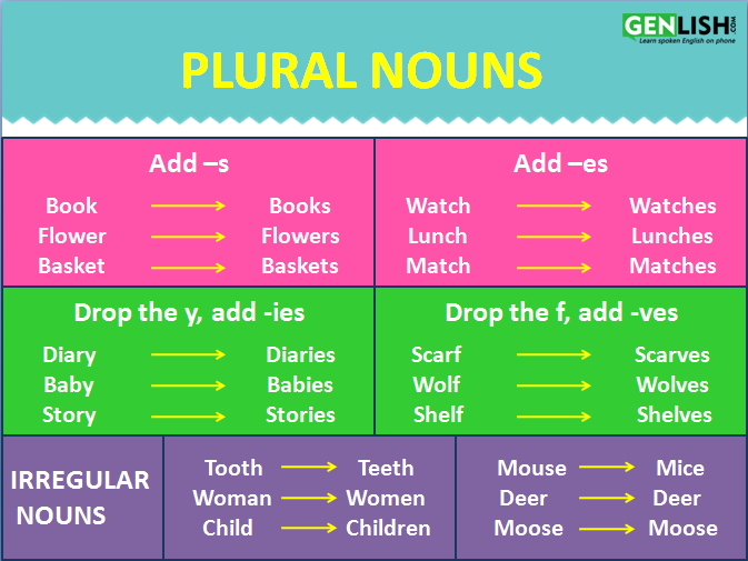 Plural Noun Examples List